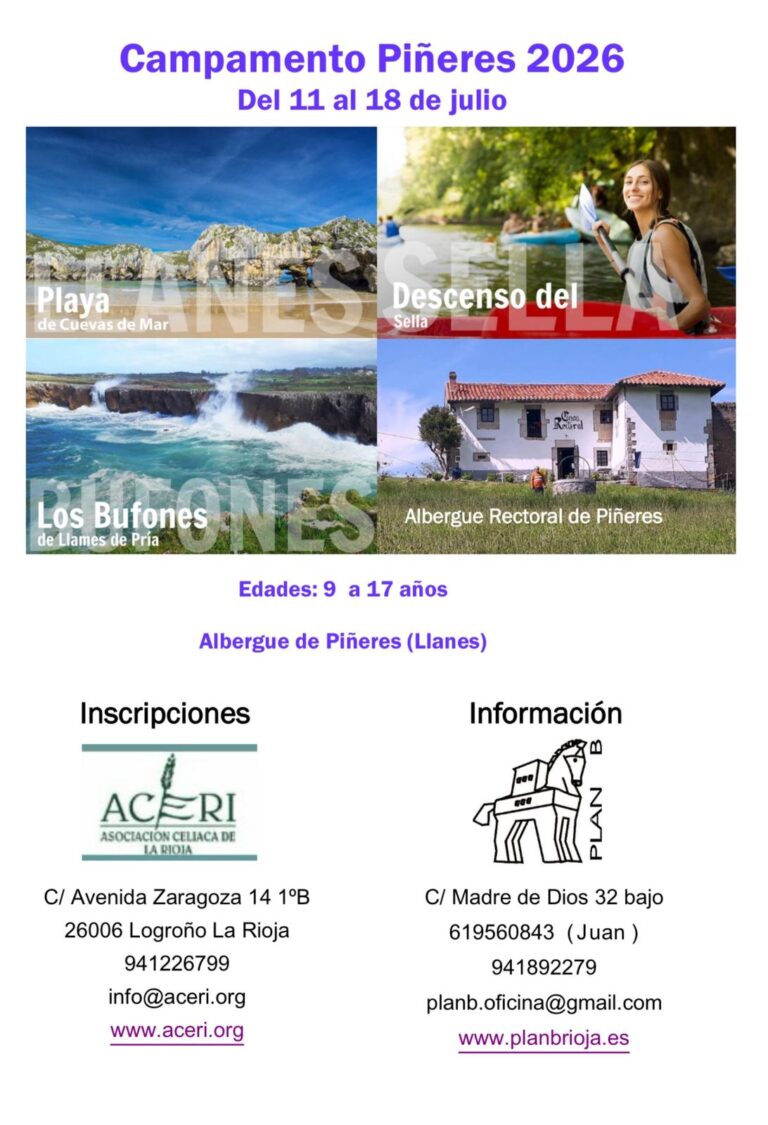 WhatsApp Image 2026 02 17 at 13.15.45